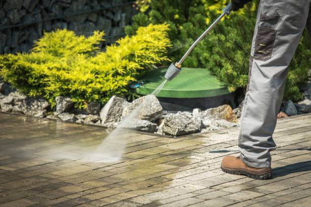 Best Pre-Holiday Cleaning  in Troy, AL